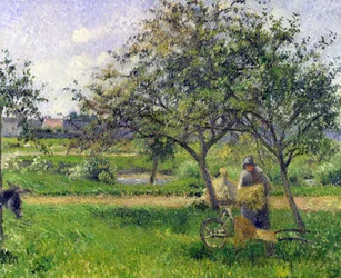 The Wheelbarrow, Orchard